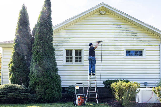 Pre-Holiday Cleaning in Palmyra, MO