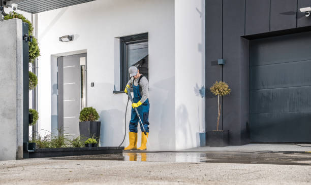Best Pool Deck Cleaning  in Palmyra, MO